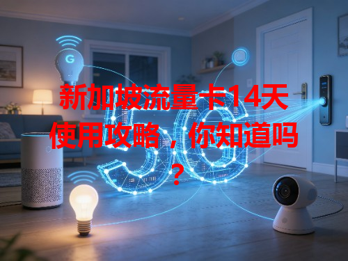 新加坡流量卡14天使用攻略，你知道吗？