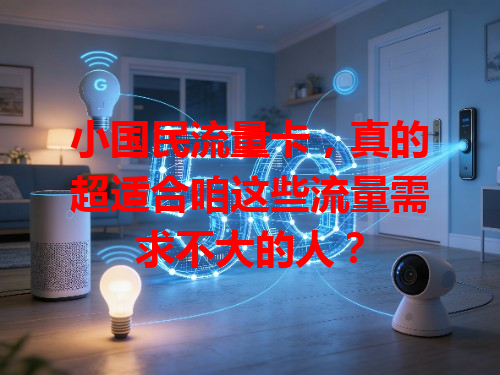小国民流量卡，真的超适合咱这些流量需求不大的人？