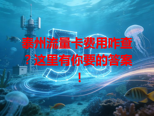 泰州流量卡费用咋查？这里有你要的答案！