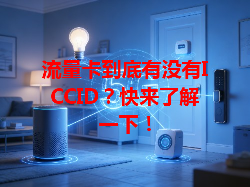 流量卡到底有没有ICCID？快来了解一下！
