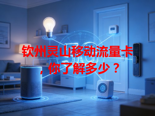 钦州灵山移动流量卡，你了解多少？