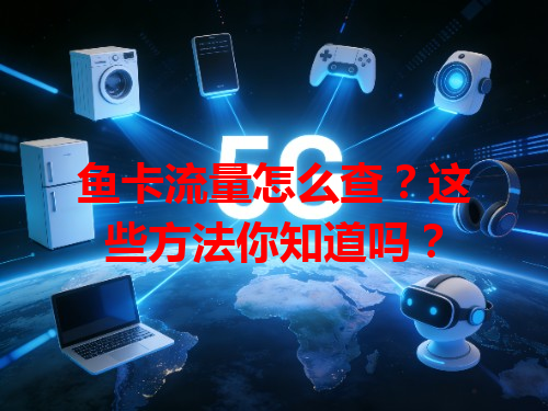 鱼卡流量怎么查？这些方法你知道吗？