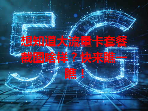 想知道大流量卡套餐截图啥样？快来瞧一瞧！