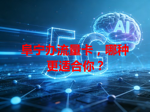 阜宁办流量卡，哪种更适合你？