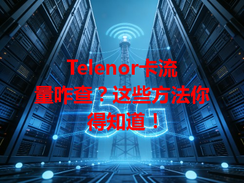 Telenor卡流量咋查？这些方法你得知道！