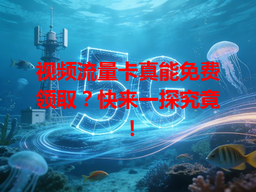 视频流量卡真能免费领取？快来一探究竟！