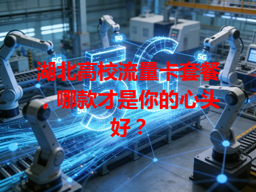 湖北高校流量卡套餐,哪款才是你的心头好?