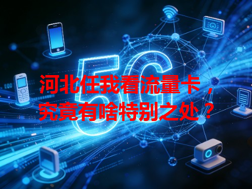 河北任我看流量卡，究竟有啥特别之处？