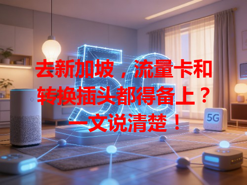 去新加坡，流量卡和转换插头都得备上？一文说清楚！