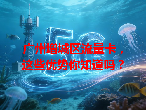 广州增城区流量卡，这些优势你知道吗？