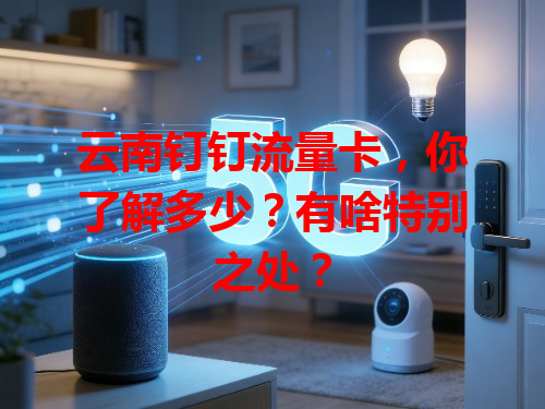 云南钉钉流量卡，你了解多少？有啥特别之处？