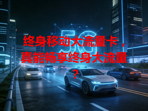 终身移动大流量卡，真能畅享终身大流量？