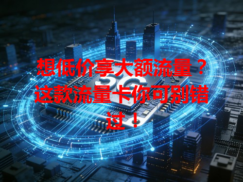 想低价享大额流量？这款流量卡你可别错过！