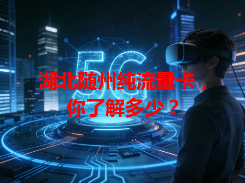 湖北随州纯流量卡，你了解多少？