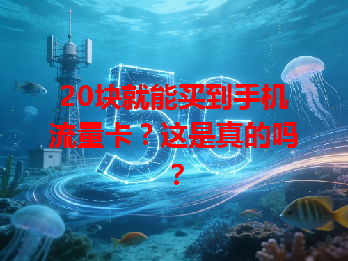 20块就能买到手机流量卡?这是真的吗?