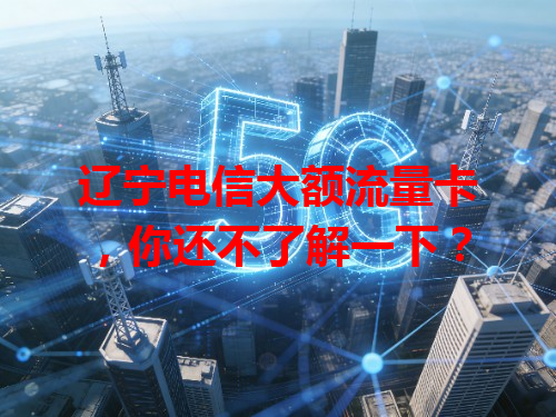 辽宁电信大额流量卡，你还不了解一下？
