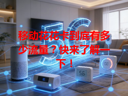 移动花花卡到底有多少流量？快来了解一下！