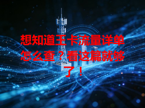 想知道王卡流量详单怎么查？看这篇就够了！