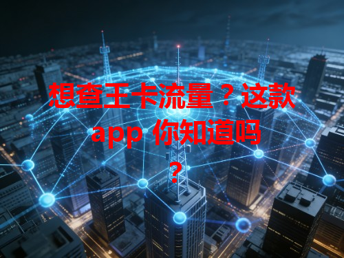想查王卡流量？这款 app 你知道吗？