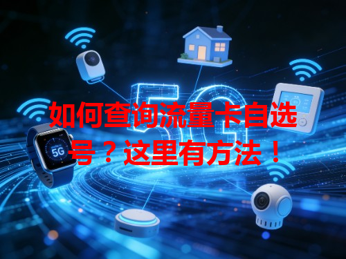 如何查询流量卡自选号？这里有方法！