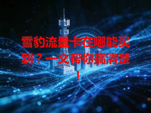 雪豹流量卡在哪能买到？一文帮你搞清楚！