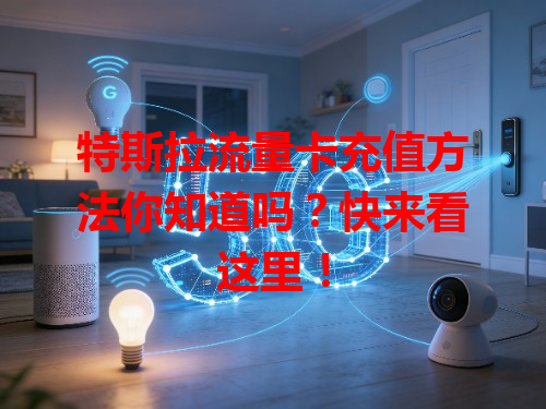 特斯拉流量卡充值方法你知道吗？快来看这里！