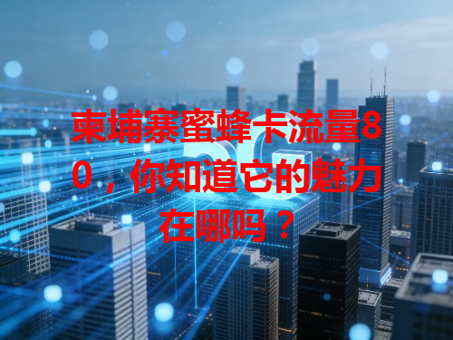 柬埔寨蜜蜂卡流量80，你知道它的魅力在哪吗？