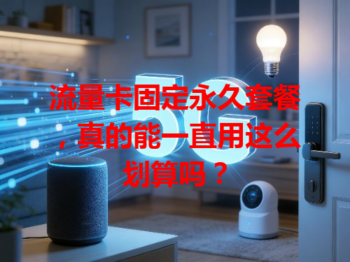 流量卡固定永久套餐，真的能一直用这么划算吗？