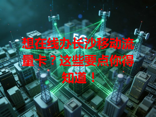 想在线办长沙移动流量卡？这些要点你得知道！