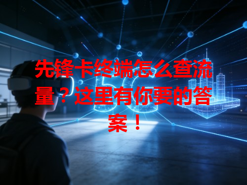 先锋卡终端怎么查流量？这里有你要的答案！