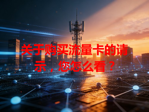 关于购买流量卡的请示，您怎么看？