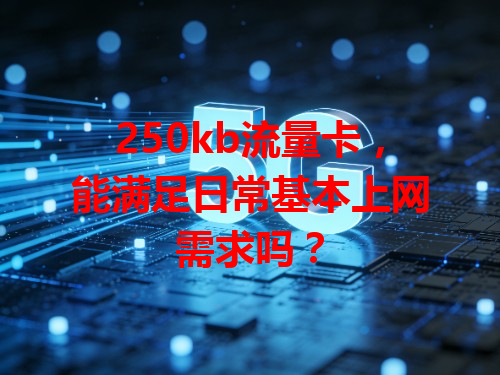 250kb流量卡，能满足日常基本上网需求吗？