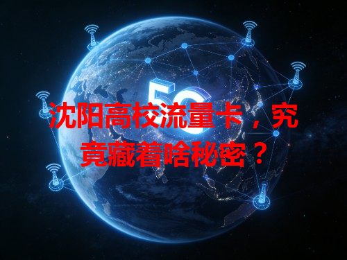 沈阳高校流量卡，究竟藏着啥秘密？