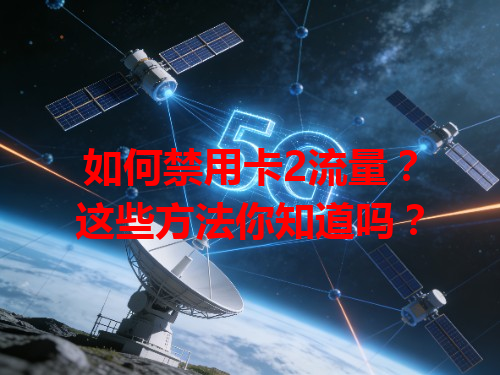 如何禁用卡2流量？这些方法你知道吗？