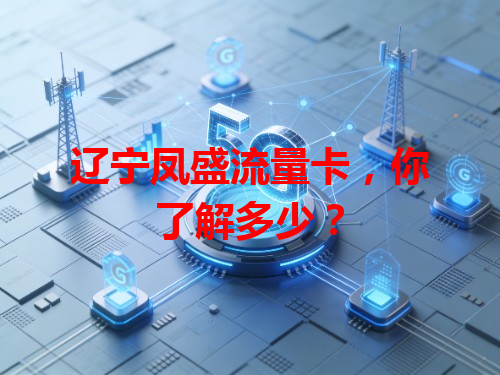 辽宁凤盛流量卡，你了解多少？