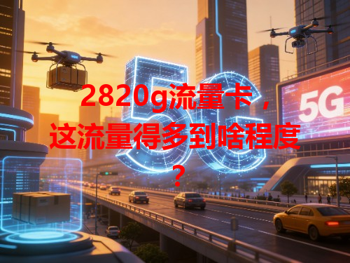 2820g流量卡，这流量得多到啥程度？