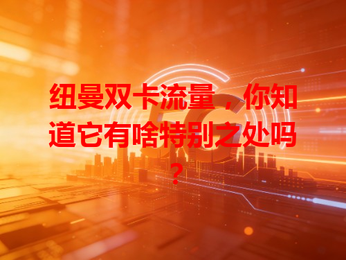 纽曼双卡流量，你知道它有啥特别之处吗？