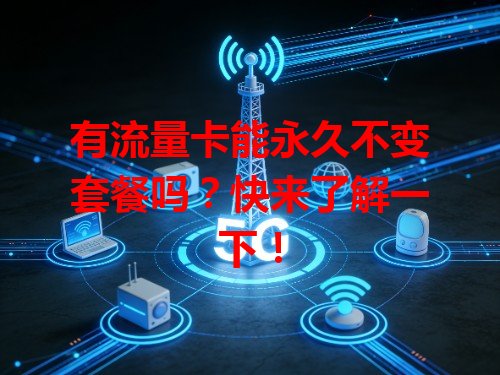 有流量卡能永久不变套餐吗？快来了解一下！