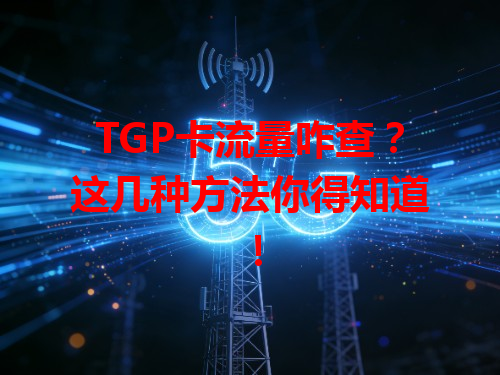 TGP卡流量咋查？这几种方法你得知道！