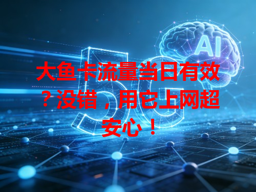 大鱼卡流量当日有效？没错，用它上网超安心！