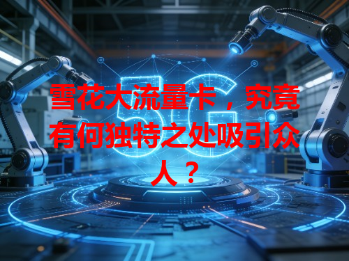 雪花大流量卡，究竟有何独特之处吸引众人？