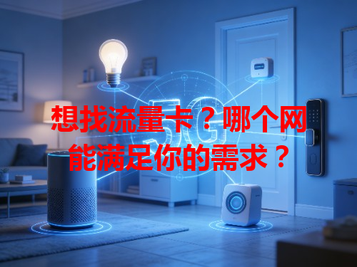 想找流量卡？哪个网能满足你的需求？