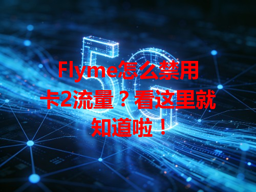 Flyme怎么禁用卡2流量？看这里就知道啦！