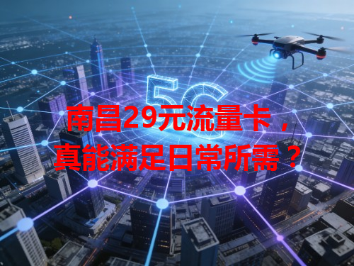 南昌29元流量卡，真能满足日常所需？