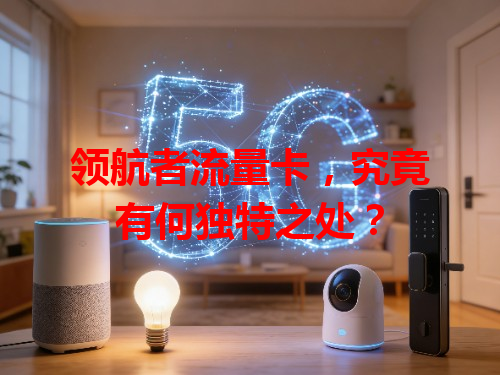 领航者流量卡，究竟有何独特之处？