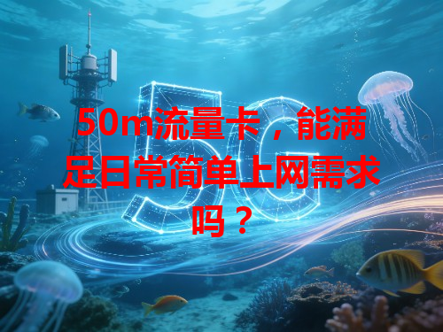 50m流量卡，能满足日常简单上网需求吗？