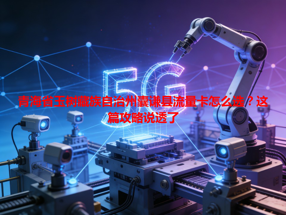 青海省玉树藏族自治州囊谦县流量卡怎么选？这篇攻略说透了