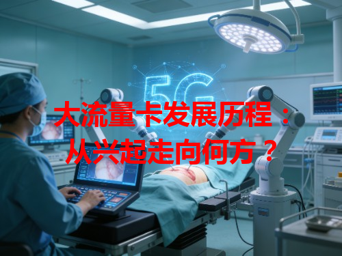 大流量卡发展历程：从兴起走向何方？