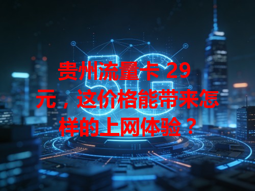 贵州流量卡 29 元，这价格能带来怎样的上网体验？