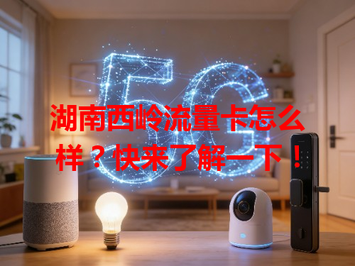 湖南西岭流量卡怎么样？快来了解一下！